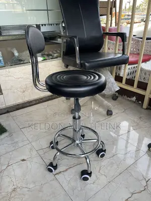 Adjustable Stool With Back Rest
