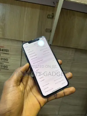 Apple iPhone 11 Pro Max 256 GB Green