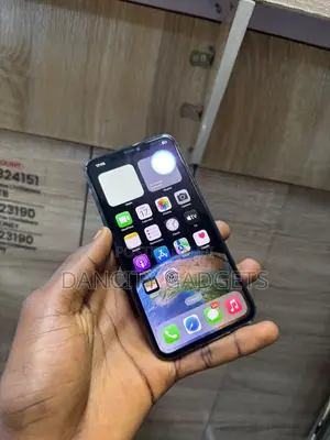 Apple iPhone 11 Pro Max 256 GB Green