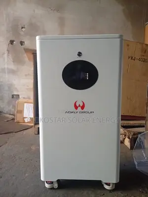 Aokly Lithium Iron Phosphate (LiFePO4) Solar Inverter Battery