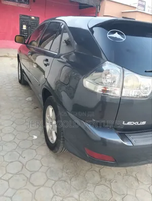 Lexus RX 330 2004 Gray