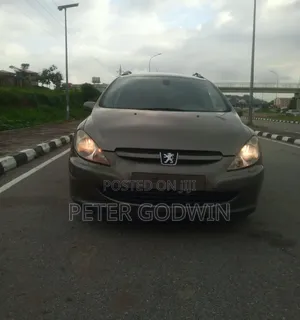 Peugeot 307 2007 Gray