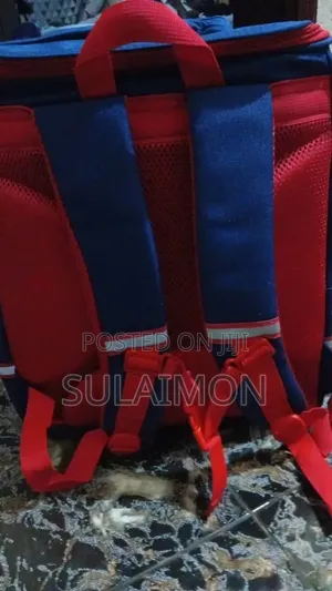 Character School Bag