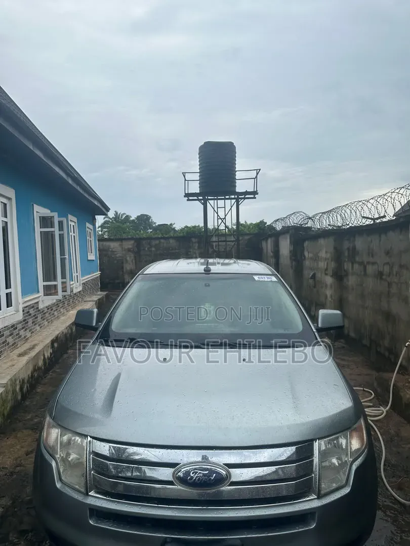 Ford Edge 2007 Silver