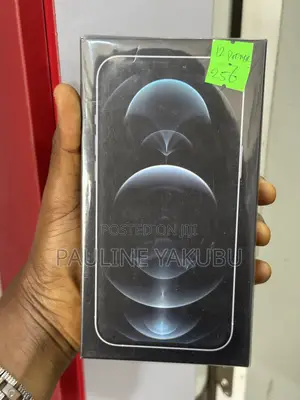 New Apple iPhone 12 Pro Max 256 GB Bronze