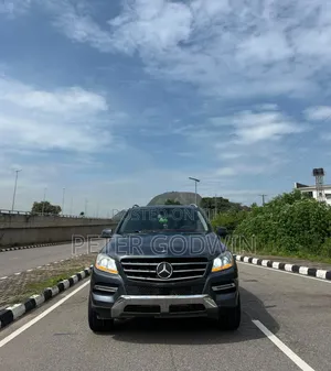 Mercedes-Benz M Class 2014 Gray