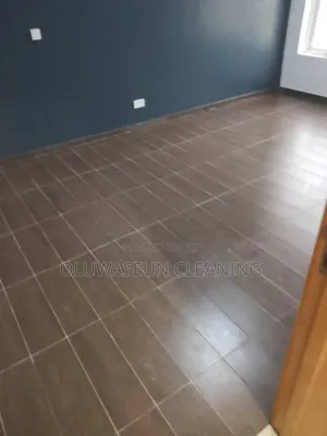 Oluwaseun Cleaning Services