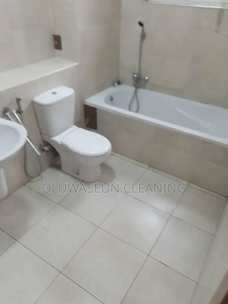 Oluwaseun Cleaning Services