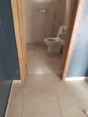 Oluwaseun Cleaning Services