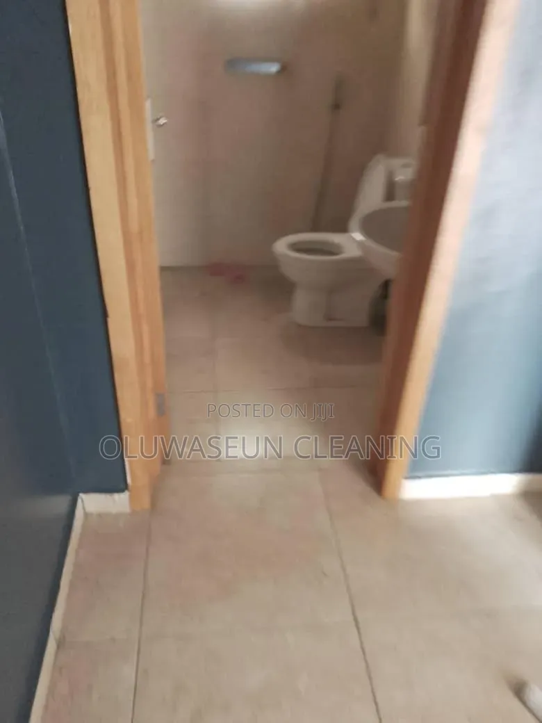 Oluwaseun Cleaning Services