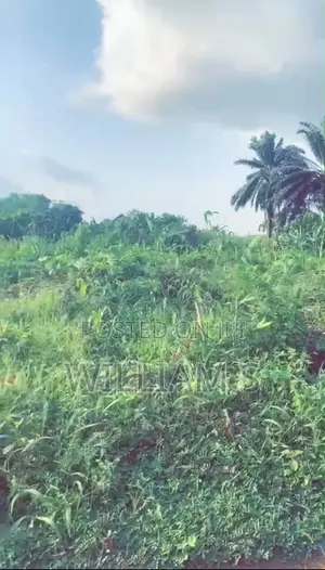 50 by 100 at Uroho 1 Off Sapele Road Bypass
