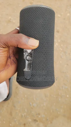 Soundcore Flare 2
