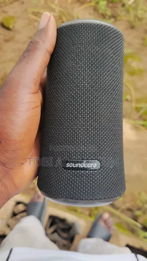 Soundcore Flare 2