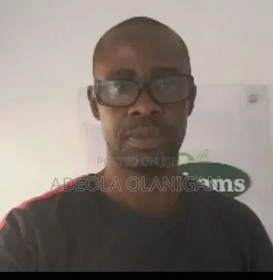Mr Adeola Olanigan
