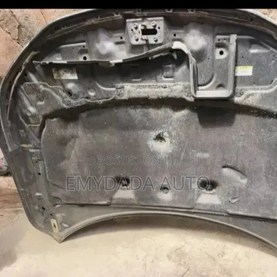 Bonnet 2016 Accord