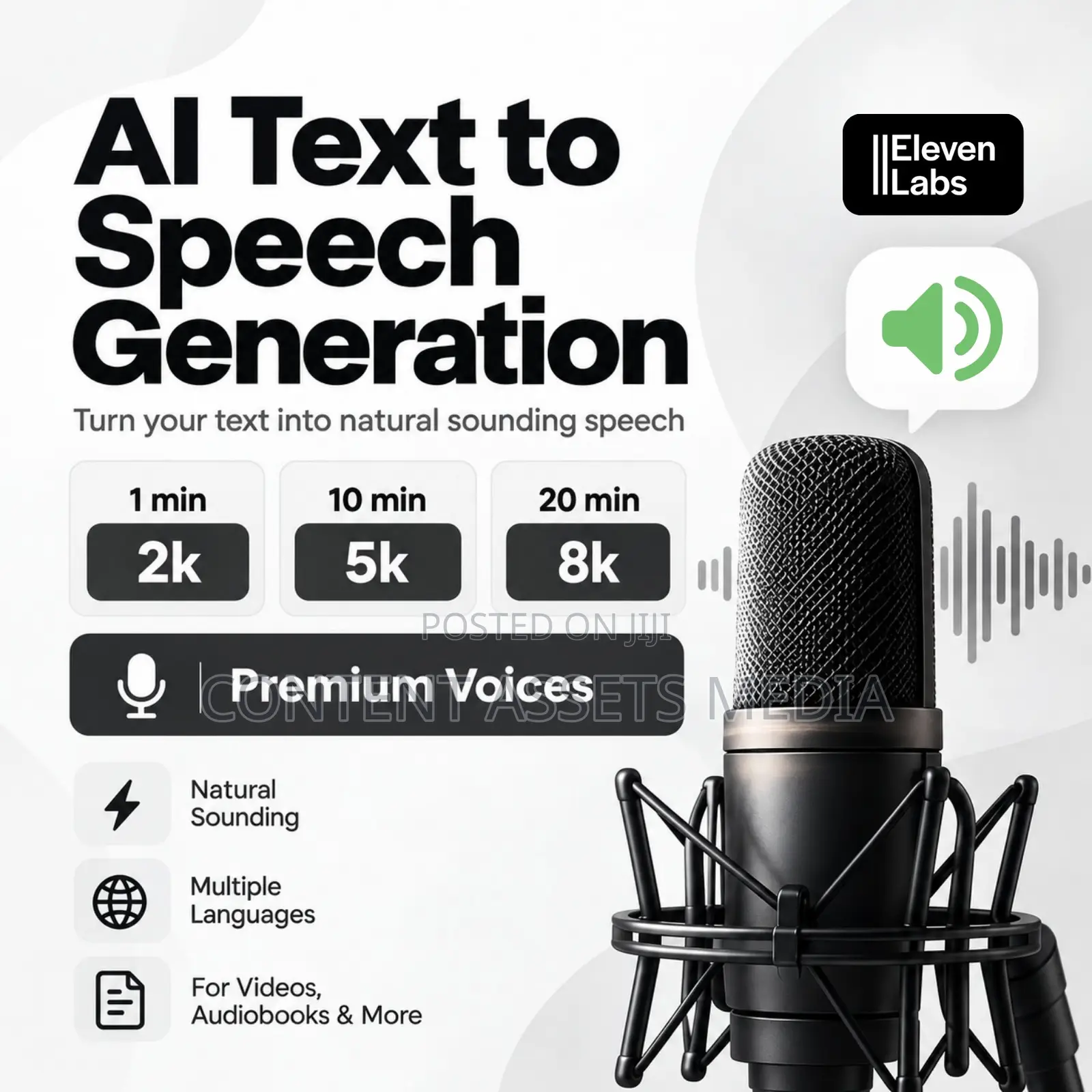 Professional AI Text to Speech Generation