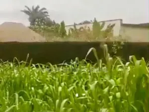 9 Plots of Prime Land With C of O for Sale in Ubakala, Umuahia!