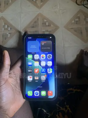 Apple iPhone 12 Pro Max 256 GB Silver