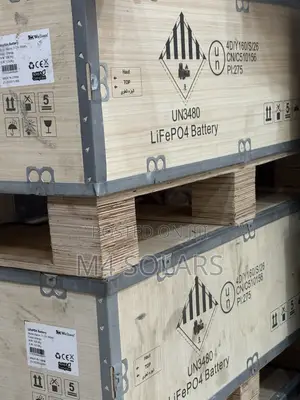 WELION 15kwh Lithium Ion Solar Battery
