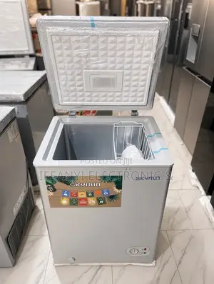 Skyrun Freezer 100 L