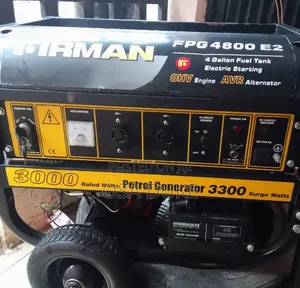 Fireman Fpg4800e2 Fuel Efficient Copper Generator