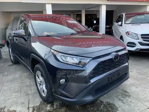 Toyota RAV4 XLE AWD 2019 Gray