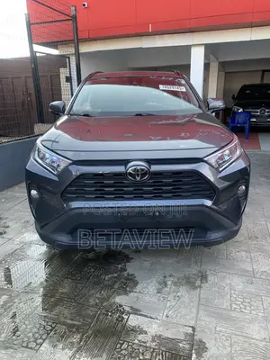 Toyota RAV4 XLE AWD 2019 Gray