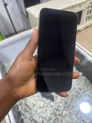 Apple iPhone 16 Pro Max 256 GB Silver