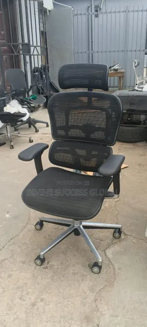 Brand New Ergohuman Ergonomic Office Chair With Headrest