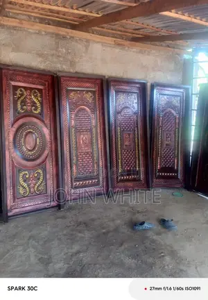 Single Designing Doors