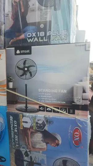Smart Standing Fan