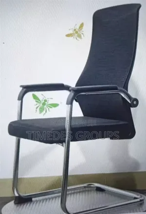 Executive Modern Home Office Visitors Chair