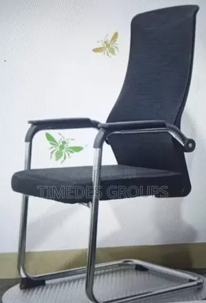 Executive Modern Home Office Visitors Chair