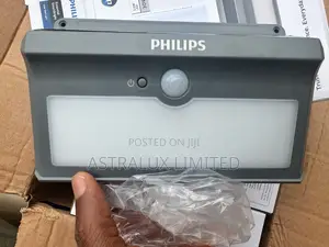 Philips Outdoor Solar Wall Light