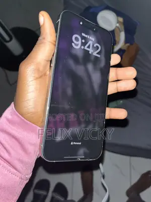 Apple iPhone 15 Pro Max 256 GB Silver
