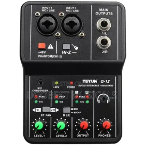 TEYUN Q-12 (Audio Interface).