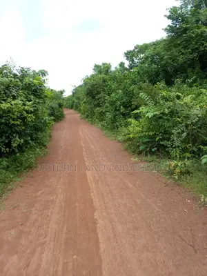 10000acres of Land for Sale in Imeko Afon Ogun State at Cheaper Rate