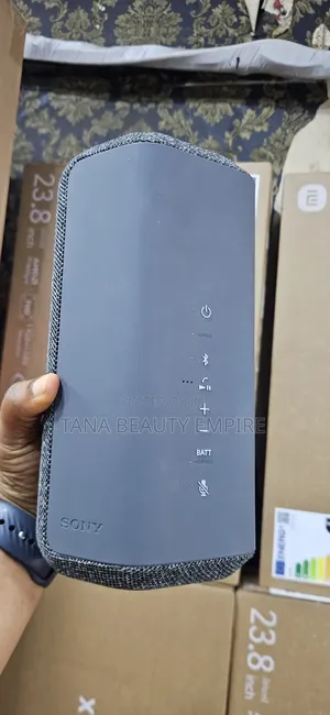 Sony Speaker S300