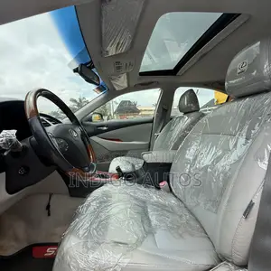Lexus ES 350 2009 Gray
