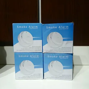 Smoke Alarm Standalone