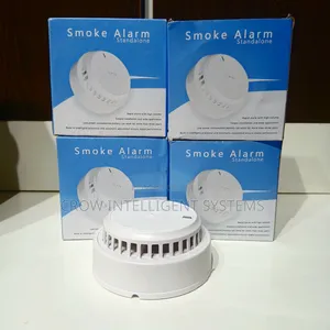 Smoke Alarm Standalone