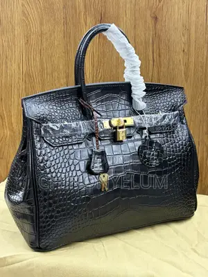 Luxury Hermes Handbag