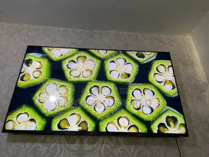 Made in Europe 55inch Premium Sony4k HDR Smart TV