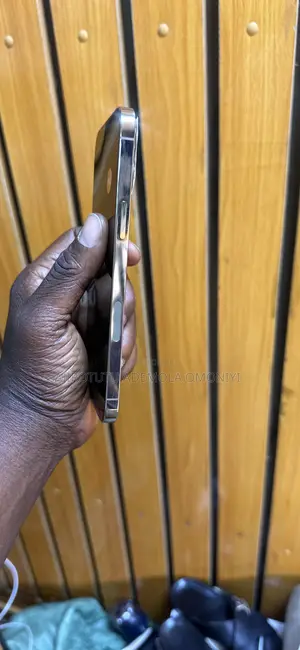 Apple iPhone 12 Pro Max 256 GB Gold