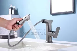 Executive Pull Out Kitchen Sink Mixer Tap