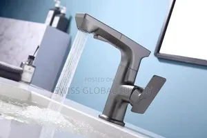 Executive Pull Out Kitchen Sink Mixer Tap