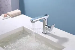 Executive Pull Out Kitchen Sink Mixer Tap