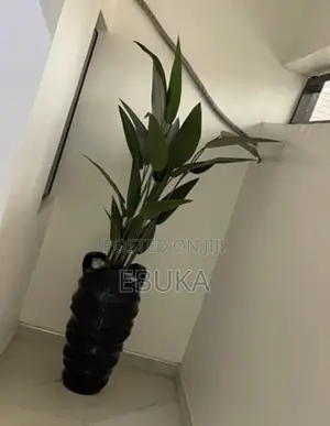 Fiber Glass Black and White Wavy