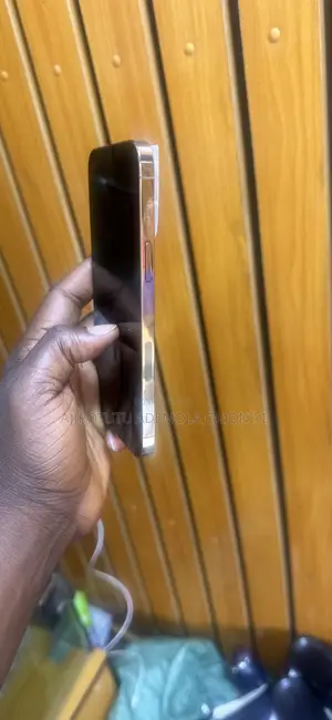 Apple iPhone 12 Pro Max 128 GB Gold