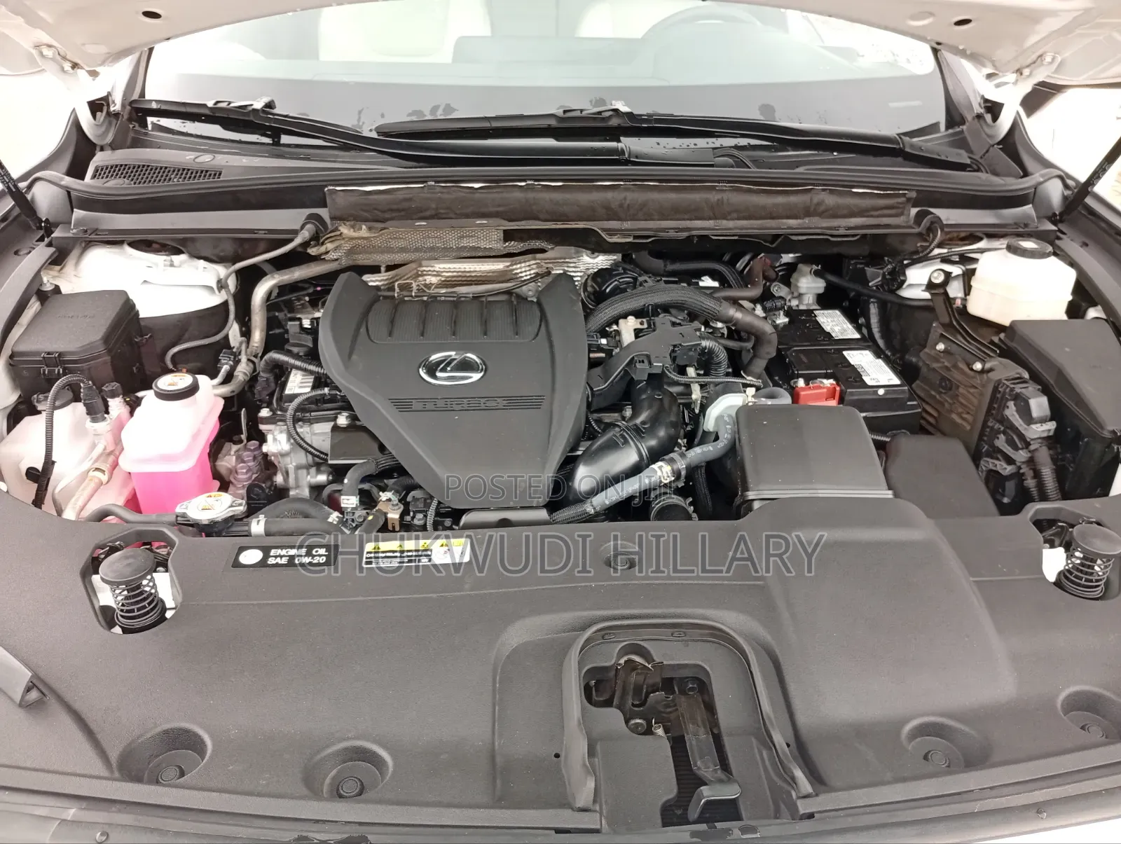 Lexus RX 2025 White